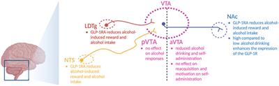 The therapeutic potential of glucagon-like peptide-1 for persons with addictions based on findings from preclinical and clinical studies